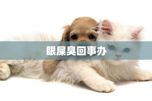 眼屎臭回事辦
