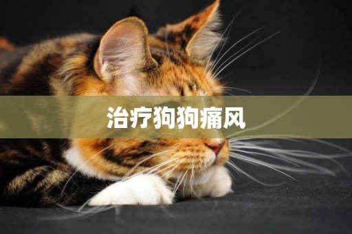 治療狗狗痛風