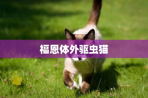 福恩體外驅蟲貓