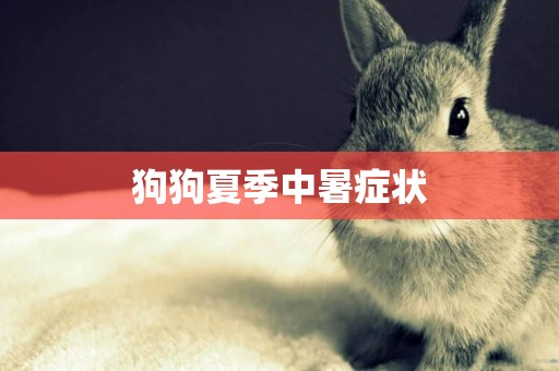 狗狗夏季中暑癥狀