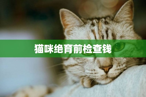 貓咪絕育前檢查錢