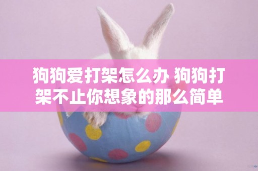 狗狗愛打架怎么辦 狗狗打架不止你想象的那么簡單