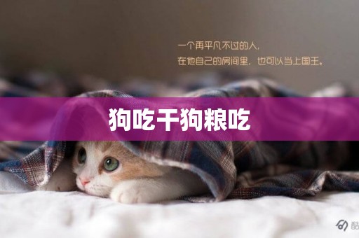 狗吃干狗糧吃