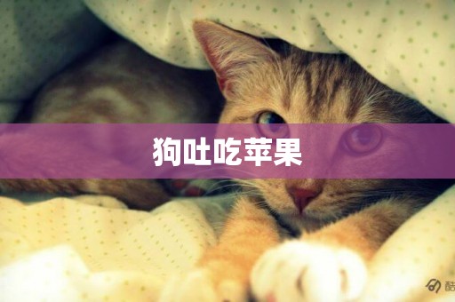 狗吐吃蘋果