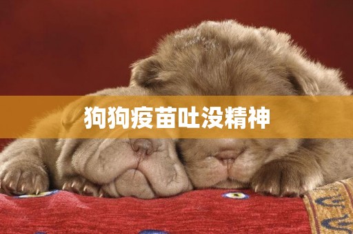 狗狗疫苗吐沒精神