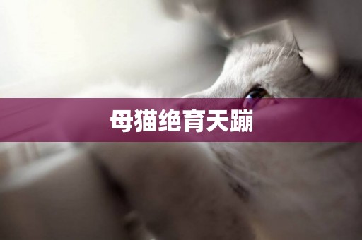母貓絕育天蹦