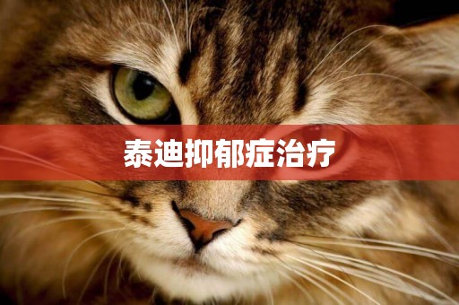 泰迪抑郁癥治療