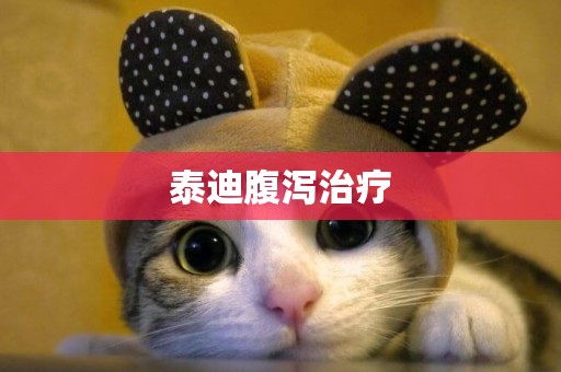 泰迪腹瀉治療
