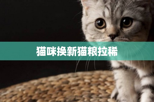 貓咪換新貓糧拉稀