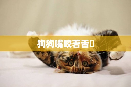 狗狗嘴咬著舌頭
