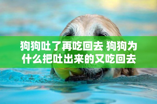 狗狗吐了再吃回去 狗狗為什么把吐出來的又吃回去
