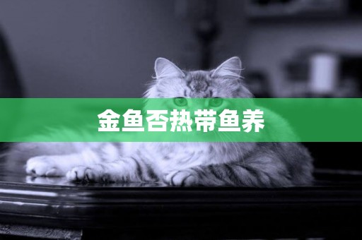 金魚否熱帶魚養