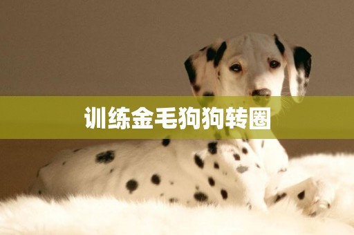 訓練金毛狗狗轉圈