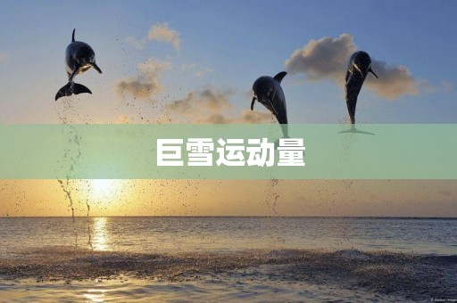 巨雪運動量