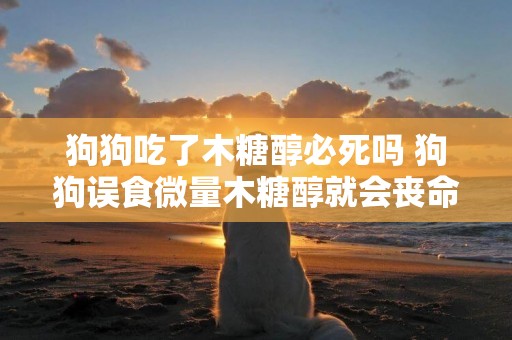 狗狗吃了木糖醇必死嗎 狗狗誤食微量木糖醇就會喪命
