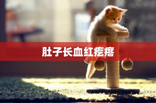 肚子長血紅疙瘩