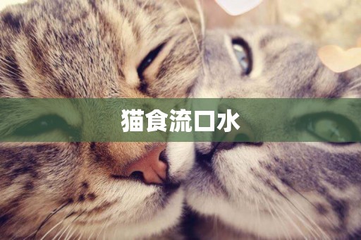 貓食流口水