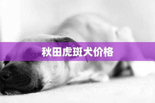 秋田虎斑犬價格