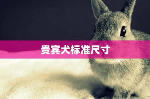 貴賓犬標準尺寸
