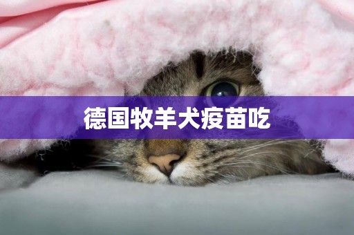 德國牧羊犬疫苗吃