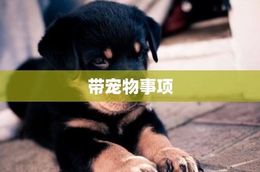 帶寵物事項
