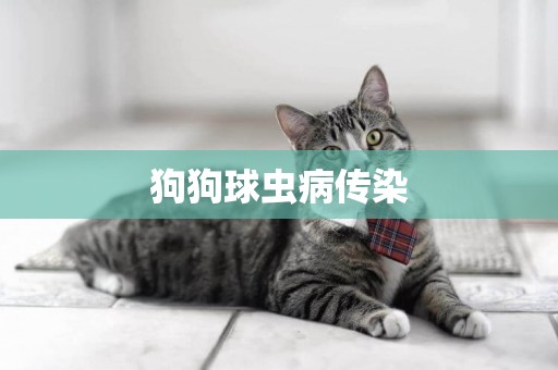 狗狗球蟲病傳染