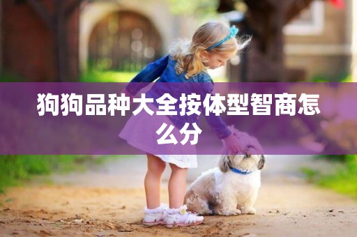 狗狗品種大全按體型智商怎么分