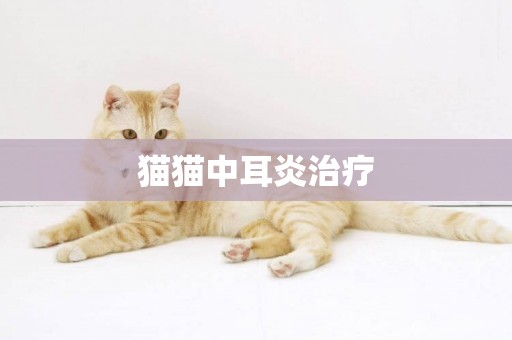 貓貓中耳炎治療
