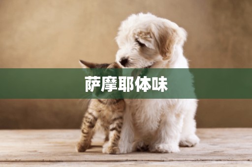 薩摩耶體味