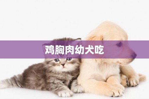 雞胸肉幼犬吃