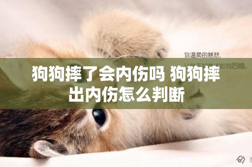 狗狗摔了會內傷嗎 狗狗摔出內傷怎么判斷