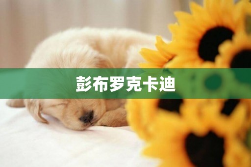 彭布羅克卡迪