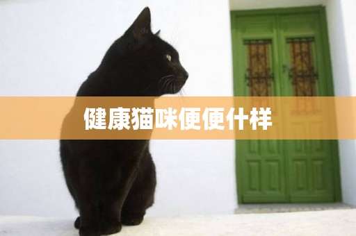 健康貓咪便便什樣