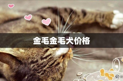金毛金毛犬價格
