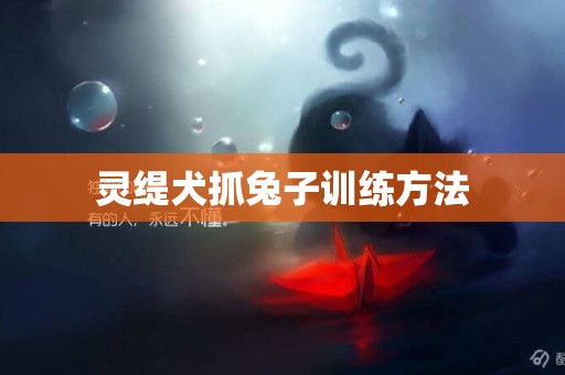 靈緹犬抓兔子訓練方法