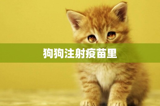 狗狗注射疫苗里