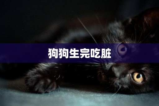 狗狗生完吃臟