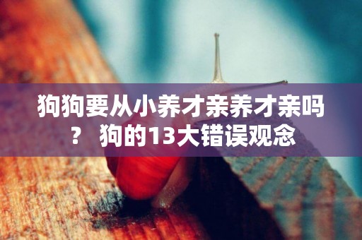 狗狗要從小養才親養才親嗎？ 狗的13大錯誤觀念