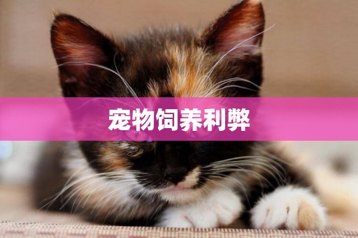 寵物飼養利弊