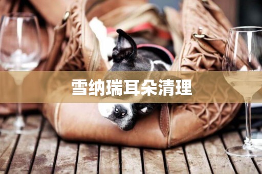 雪納瑞耳朵清理