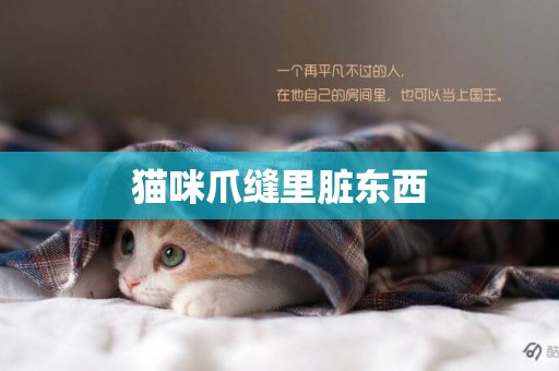 貓咪爪縫里臟東西