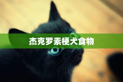 杰克羅素梗犬食物