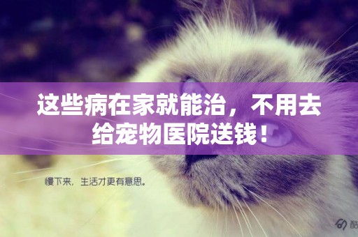這些病在家就能治，不用去給寵物醫院送錢！