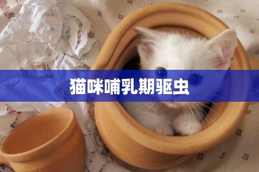 貓咪哺乳期驅蟲