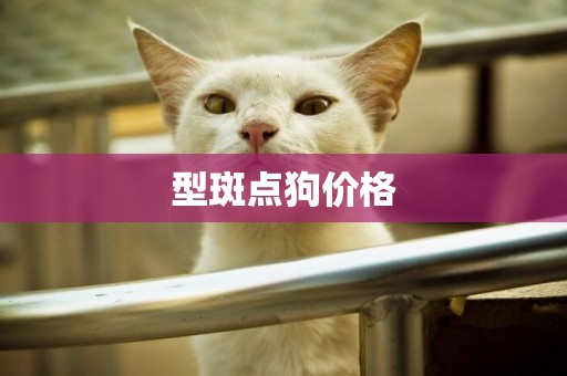 型斑點狗價格