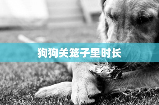 狗狗關籠子里時長