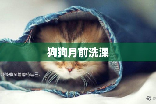 狗狗月前洗澡