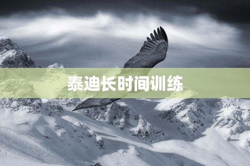 泰迪長時間訓練