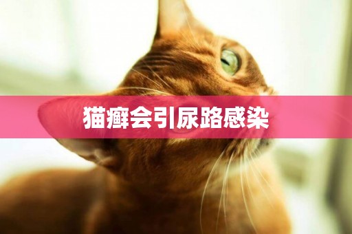 貓癬會引尿路感染