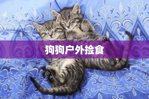狗狗戶外撿食